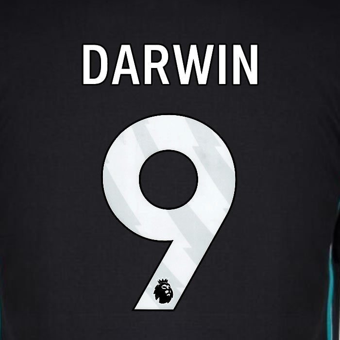 2024 2025 OFFICIAL LIVERPOOL FC DARWIN 9 WHITE AWAY PLAYER SIZE NAMESET