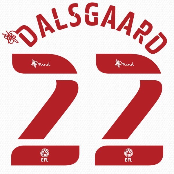 BRENTFORD 2020 2021 OFFICIAL DALSGAARD 22 3RD PLAYER SIZE NAME SET