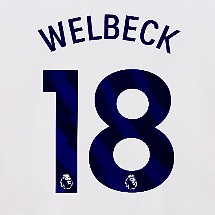 2024 2025 OFFICIAL BRIGHTON WELBECK 18 HOME BLUE PLAYER SIZE NAMESET