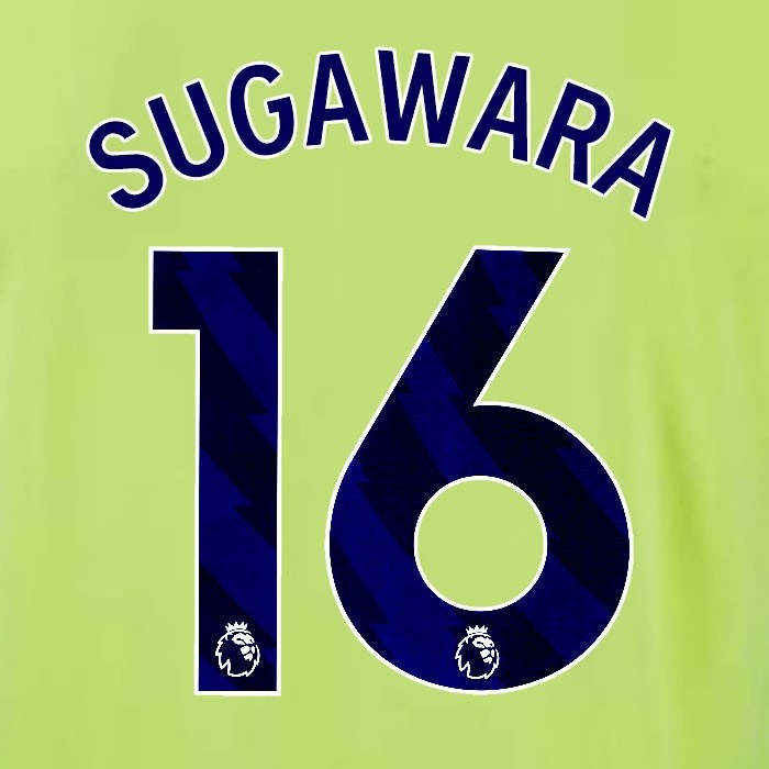2024 2025 OFFICIAL SOUTHAMPTON SUGAWARA 16 BLUE AWAYPLAYER SIZE NAME SET