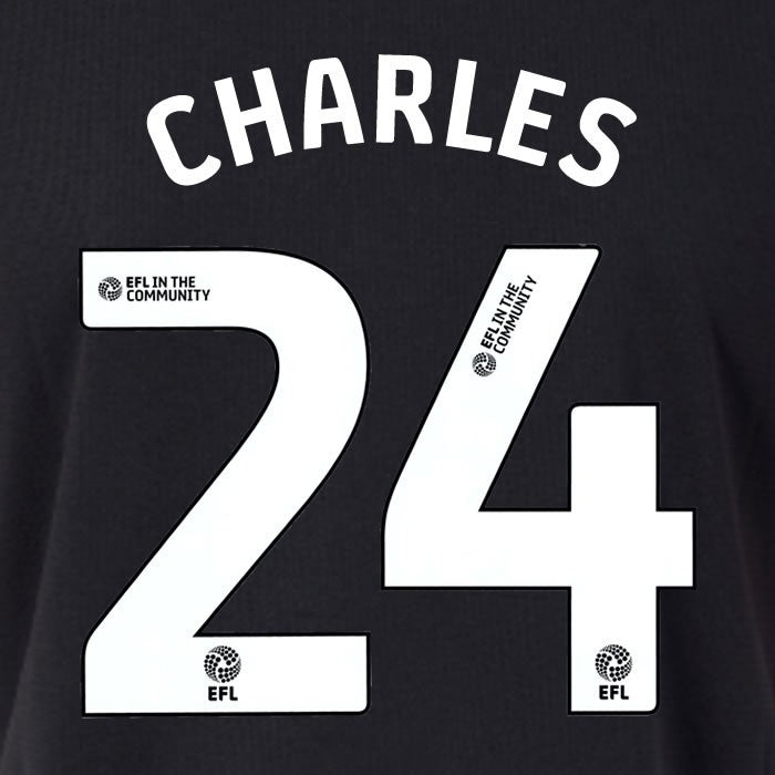 25 26 SOUTHAMPTON FC CHARLES 24 OFFICIAL WHITE HOME PLAYER SIZE NAME SET 230MM