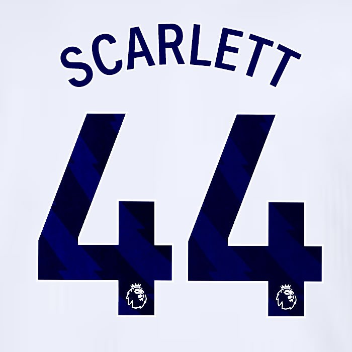 2024 2025 TOTTENHAM SCARLETT 44 BLUE HOME PLAYER SIZE NAME SET
