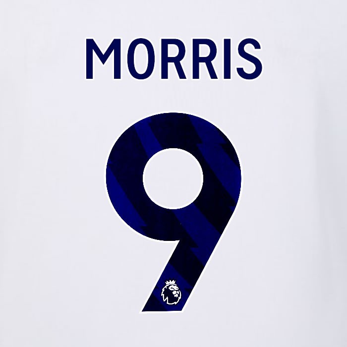 2023 2024 LUTON TOWN OFFICIAL MORRIS 9 BLUE AWAY PLAYER SIZE NAMESET