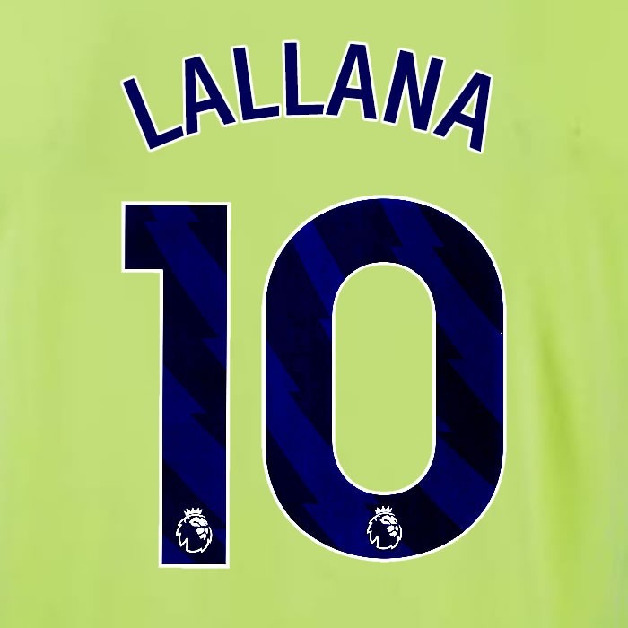 2024 2025 OFFICIAL SOUTHAMPTON LALLANA 10 BLUE AWAY PLAYER SIZE NAME SET
