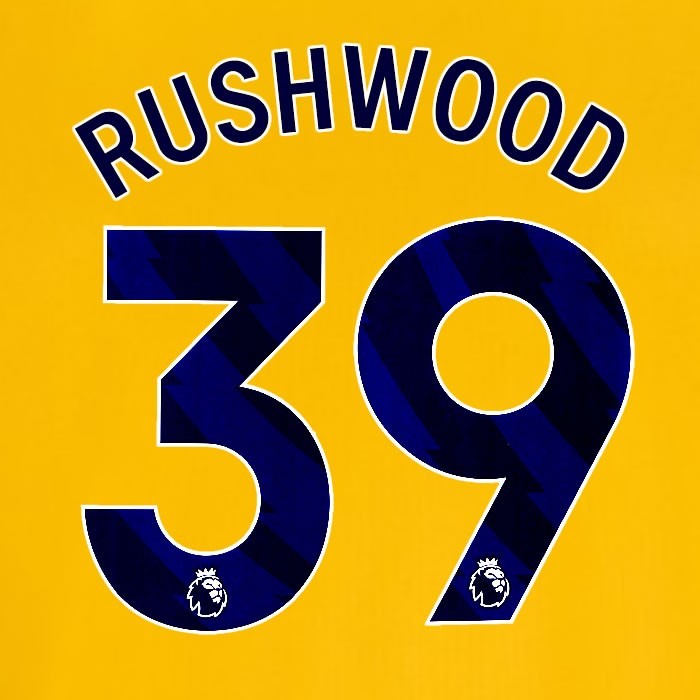 2024 2025 OFFICIAL BRIGHTON RUSHWOOD 39 AWAY BLUE PLAYER SIZE NAMESET