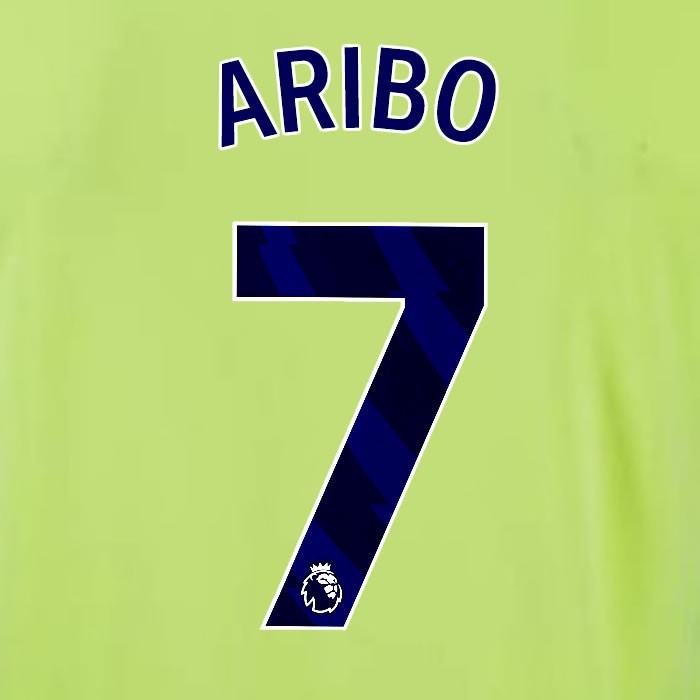 2024 2025 OFFICIAL SOUTHAMPTON ARIBO 7 BLUE AWAY PLAYER SIZE NAME SET
