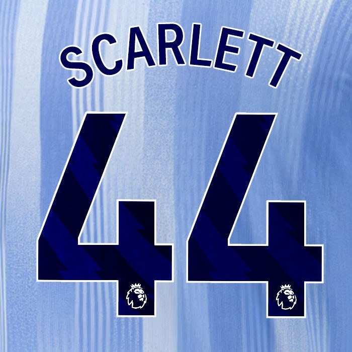 2024 2025 TOTTENHAM SCARLETT 44 BLUE AWAY PLAYER SIZE NAME SET