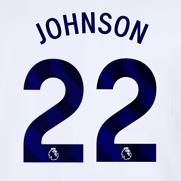 2024 2025 TOTTENHAM JOHNSON 22 BLUE HOME PLAYER SIZE NAME SET