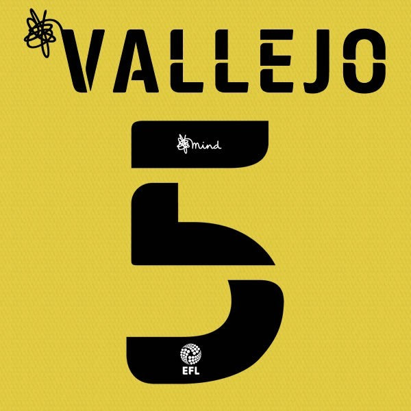 HUDDERSFIELD 2020 2021 OFFICIAL VALLEJO 5 3RD PLAYER SIZE NAME SET