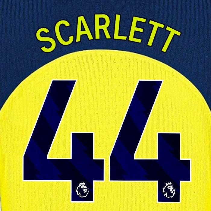 2025 2026 TOTTENHAM SCARLETT 44 3RD PLAYER SIZE NAME SET
