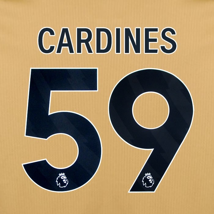 2025 2026 OFFICIAL CRYSTAL PALACE CARDINES 59 BLACK 3RD PLAYER SIZE NAMESET