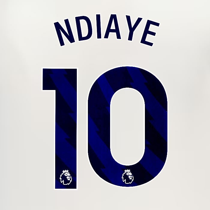 2024 2025 EVERTON NDIAYE 10 OFFICIAL BLUE 3RD PLAYER SIZE NAMESET