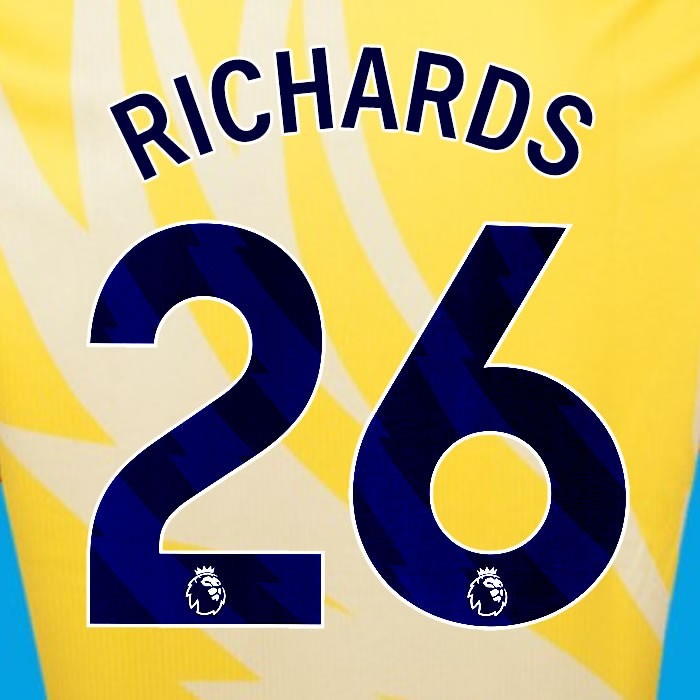 2024 2025 OFFICIAL CRYSTAL PALACE RICHARDS 26 BLUE AWAY PLAYER SIZE NAMESET