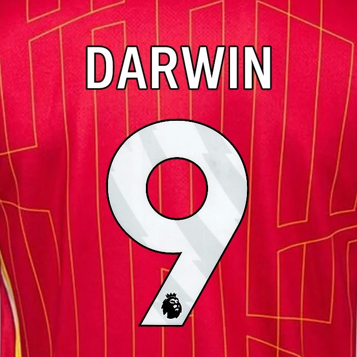 2024 2025 OFFICIAL LIVERPOOL DARWIN 9 WHITE HOME PLAYER SIZE NAMESET