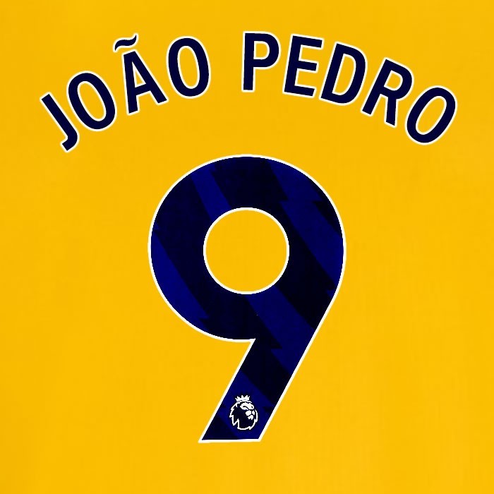 2024 2025 OFFICIAL BRIGHTON JOAO PEDRO 9 AWAY BLUE PLAYER SIZE NAMESET