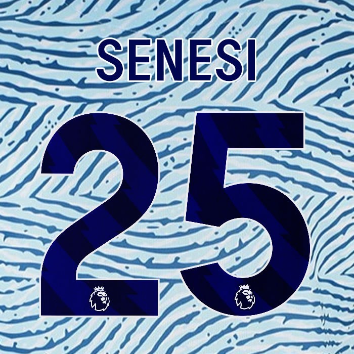 2023 2024 BOURNEMOUTH SENESI 25 BLUE AWAY PLAYER SIZE NAME SET