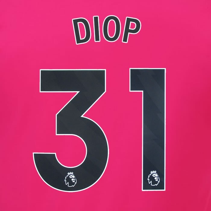 2023 2024 OFFICIAL FULHAM AVERY DENNISON DIOP 31 AWAY PLAYER SIZE NAMESET