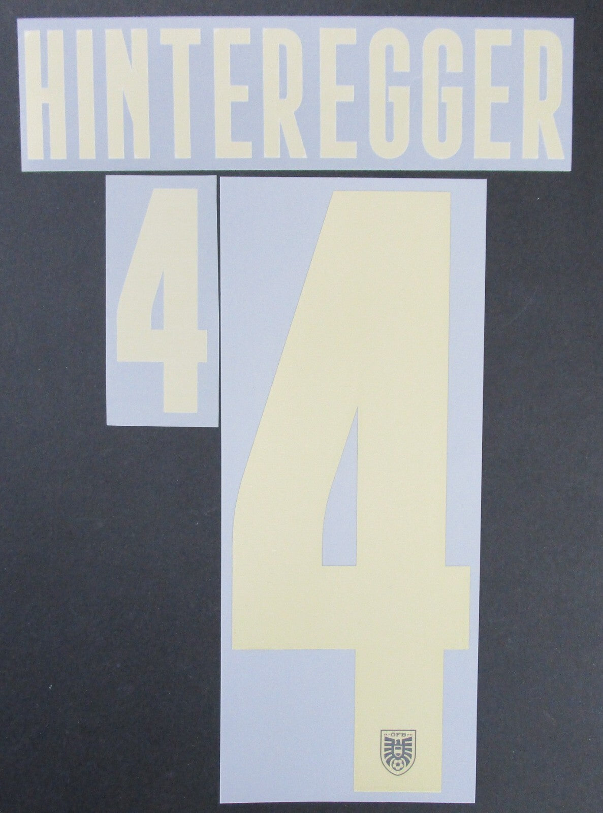 AUSTRIA 2020 2021 OFFICIAL HINTEREGGER 4 AWAY PLAYER SIZE NAMESET
