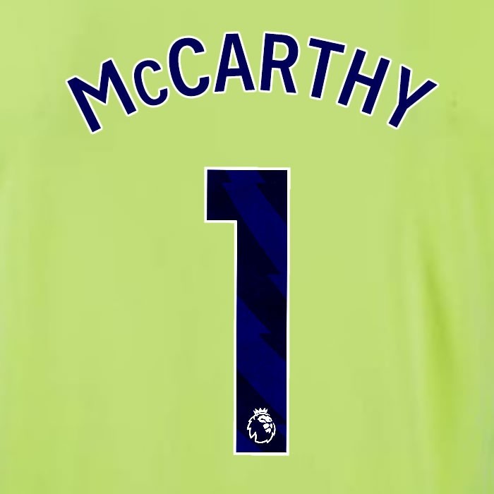 2024 2025 OFFICIAL SOUTHAMPTON McCARTHY 1 BLUE AWAY PLAYER SIZE NAME SET