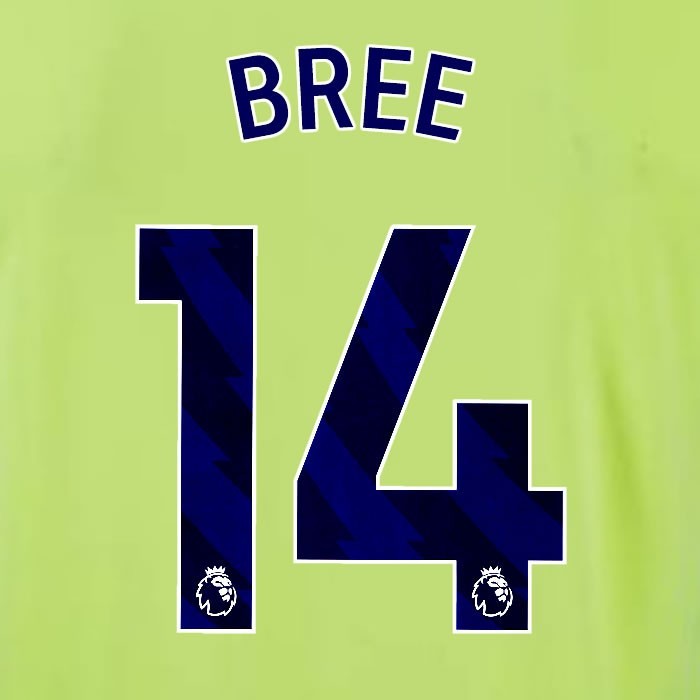 2024 2025 OFFICIAL SOUTHAMPTON BREE 14 BLUE AWAY PLAYER SIZE NAME SET