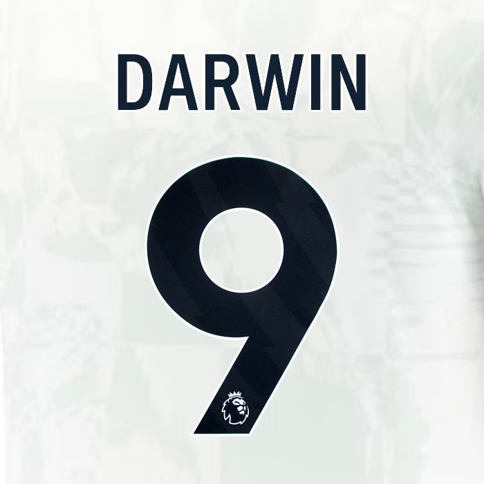 2024 2025 OFFICIAL LIVERPOOL DARWIN 9 BLACK 3RD PLAYER SIZE NAMESET