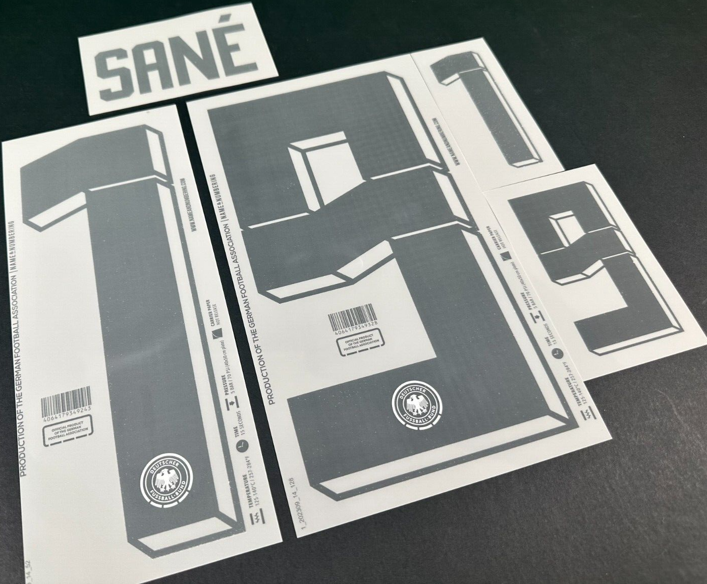 GERMANY 2024-2025 OFFICIAL NAME & NUMBERING SANE' 19 HOME PLAYER SIZE NAMESET