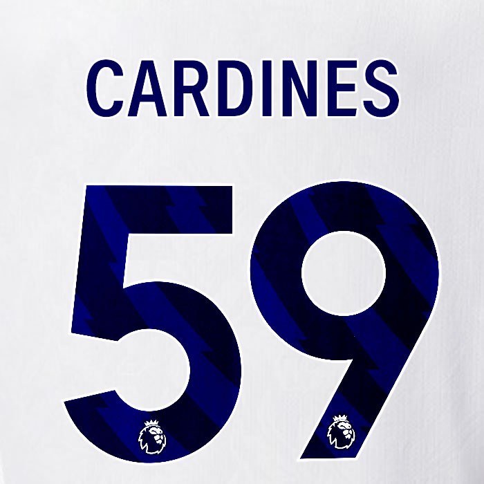 2025 2026 OFFICIAL CRYSTAL PALACE CARDINES 59 BLUE AWAY PLAYER SIZE NAMESET