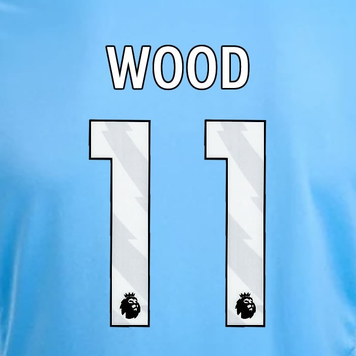 2024 2025 OFFICIAL NOTTINGHAM WOOD 11 WHITE 3RD PLAYER SIZE NAMESET
