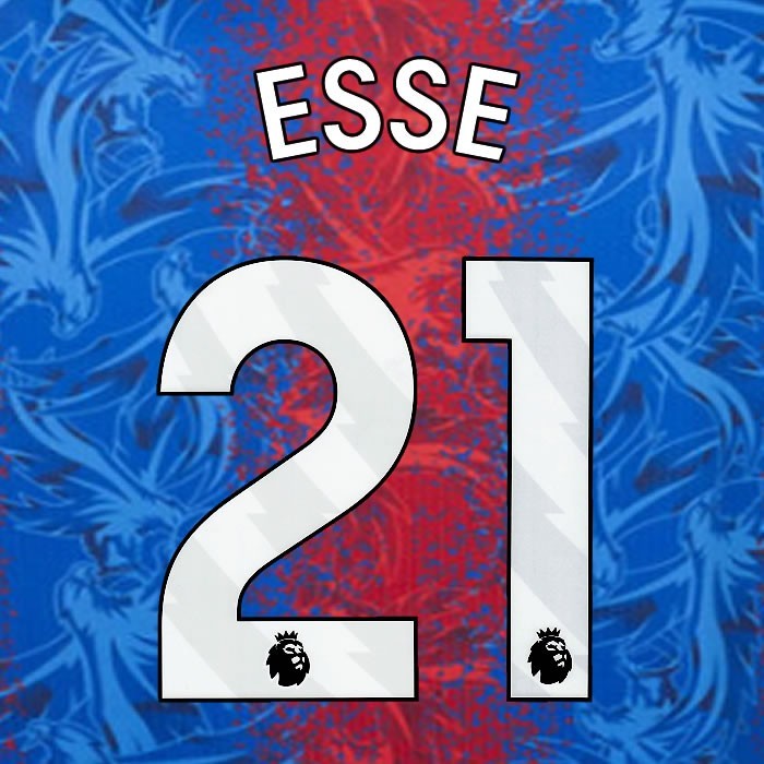 2024 2025 OFFICIAL CRYSTAL PALACE ESSE 21 WHITE HOME PLAYER SIZE NAMESET