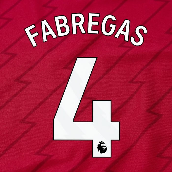 ARSENAL 2023/24 FABREGAS 4 OFFICIAL AVERY DENNISON WHITE PLAYER SIZE NAME SET