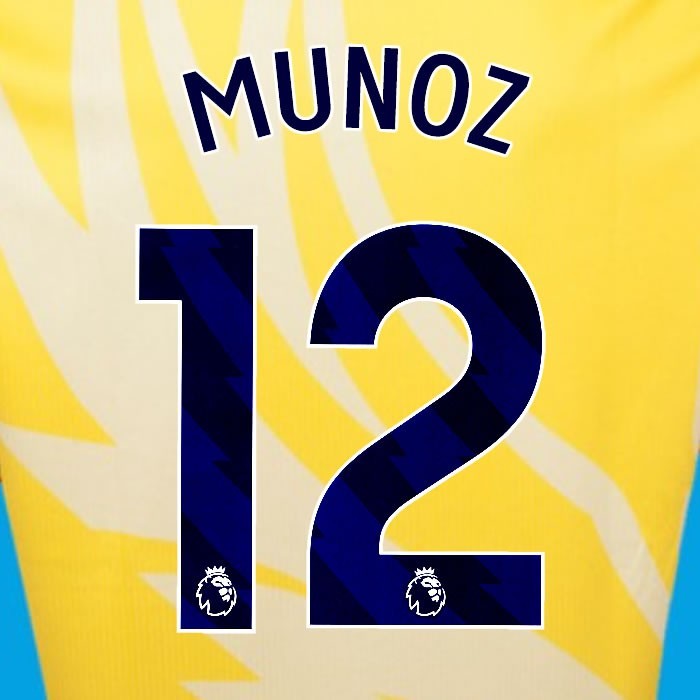 2024 2025 OFFICIAL CRYSTAL PALACE MUNOZ 12 BLUE AWAY PLAYER SIZE NAMESET