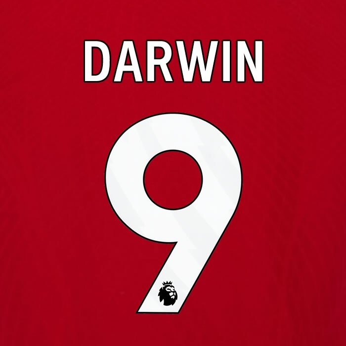 2023 2024 OFFICIAL LIVERPOOL DARWIN 9 WHITE HOME PLAYER SIZE NAMESET
