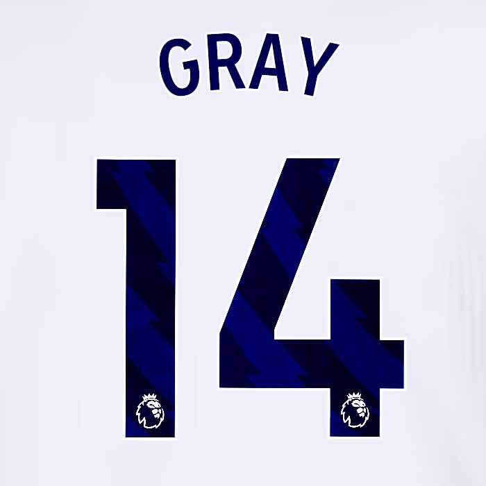 2024 2025 TOTTENHAM GRAY 14 BLUE HOME PLAYER SIZE NAME SET