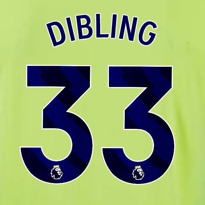 2024 2025 OFFICIAL SOUTHAMPTON DIBLING 33 BLUE AWAY PLAYER SIZE NAME SET