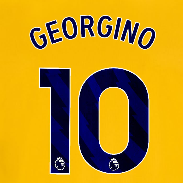 2025 2026 OFFICIAL BRIGHTON HOVE ALBION GEORGINO 10 3RD PLAYER SIZE NAME SET