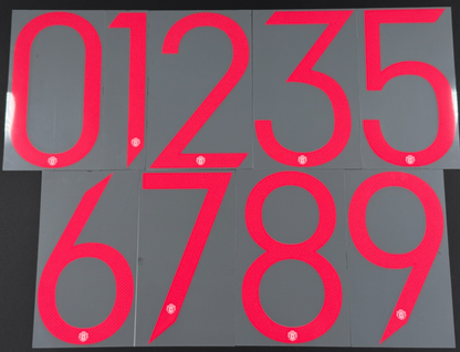 2021 2022 OFFICIAL MANCHESTER UNITED AWAY UCL CUP PLAYER SIZE NUMBERS 270MM