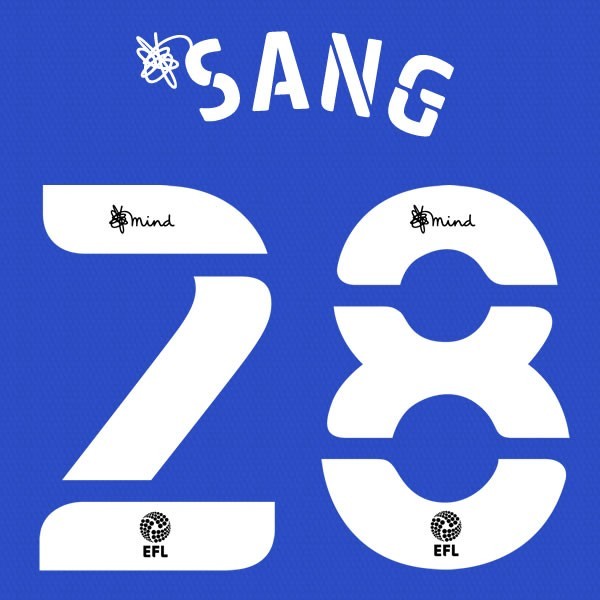 CARDIFF 2020 2021 OFFICIAL SANG 28 HOME PLAYER SIZE NAME SET