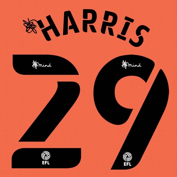 CARDIFF 2020 2021 OFFICIAL HARRIS 29 3RD PLAYER SIZE NAME SET