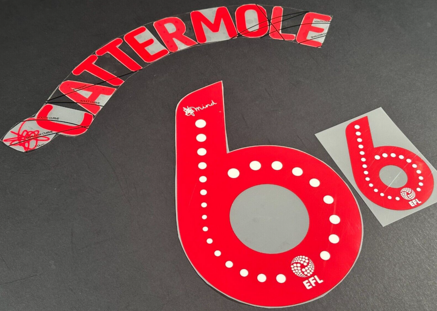 SUNDERLAND AFC 2020 2021 OFFICIAL CATTERMOLE 6 ELMS UK PLAYER SIZE NAME SET