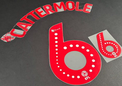 SUNDERLAND AFC 2020 2021 OFFICIAL CATTERMOLE 6 ELMS UK PLAYER SIZE NAME SET