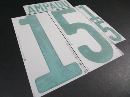 WALES 2020 2021 OFFICIAL DekoGraphics AMPADU 15 AWAY GREEN PLAYER SIZE NAMESET