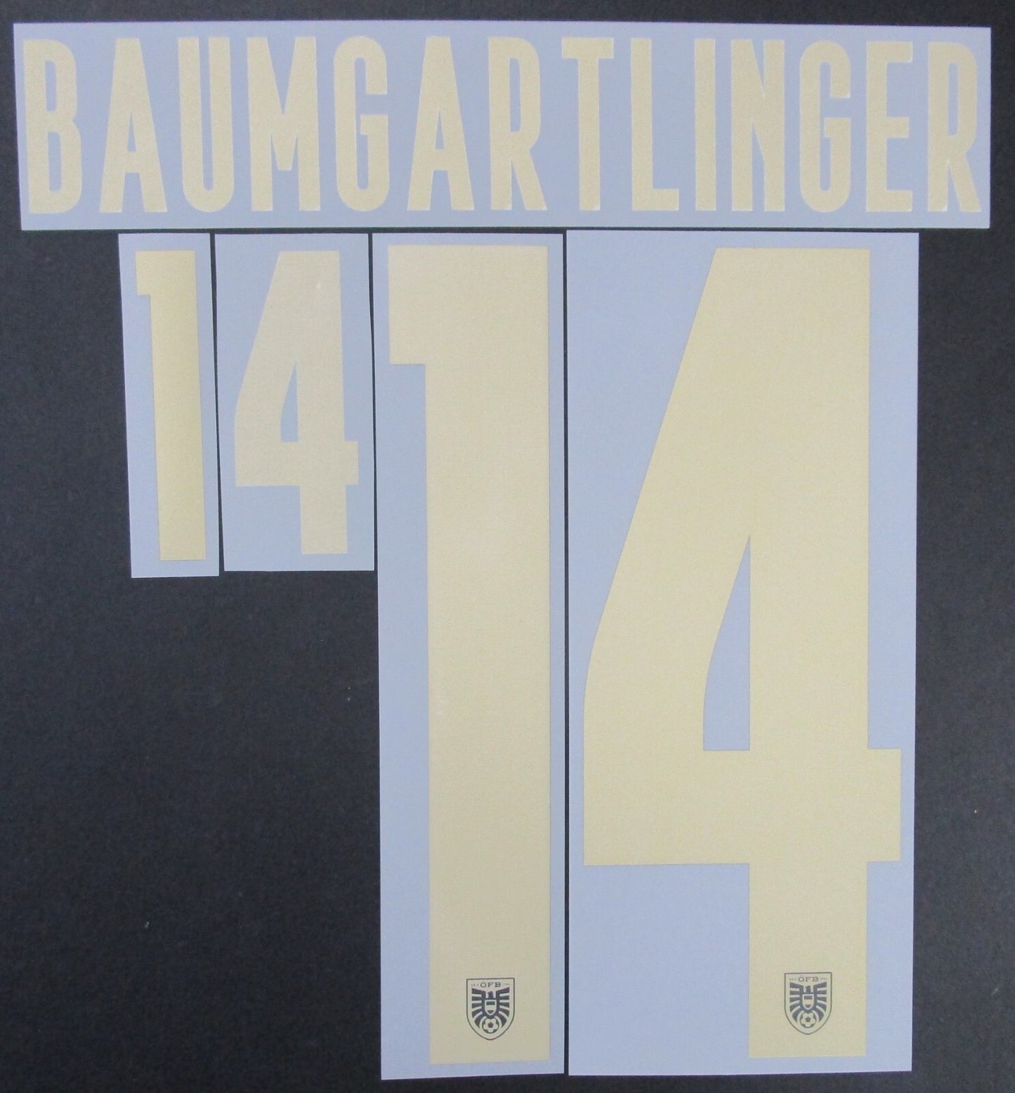 AUSTRIA 2020 2021 OFFICIAL BAUMGARTLINGER 14 AWAY PLAYER SIZE NAMESET