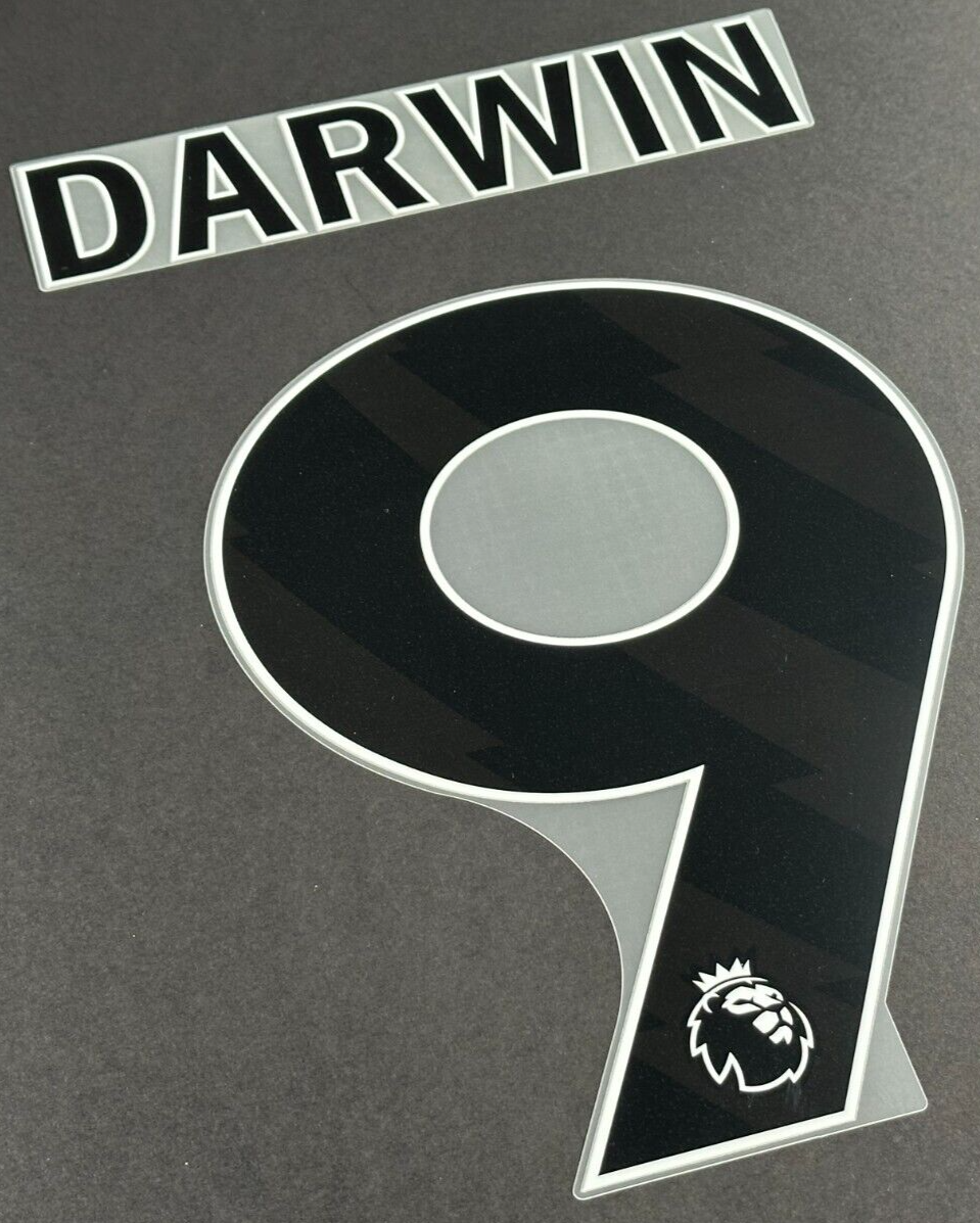 2023 - 2024 OFFICIAL LIVERPOOL DARWIN 9 BLACK AWAY PLAYER SIZE NAMESET