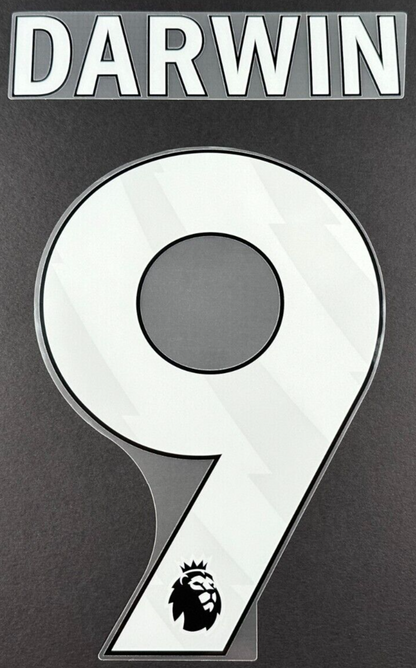 2024 - 2025 OFFICIAL LIVERPOOL DARWIN 9 WHITE HOME PLAYER SIZE NAMESET