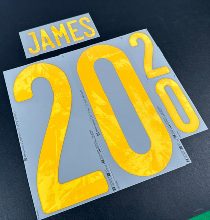 WALES 20-21 OFFICIAL SPORTING ID JAMES 20 HOME PLAYER SIZE NAMESET 265MM