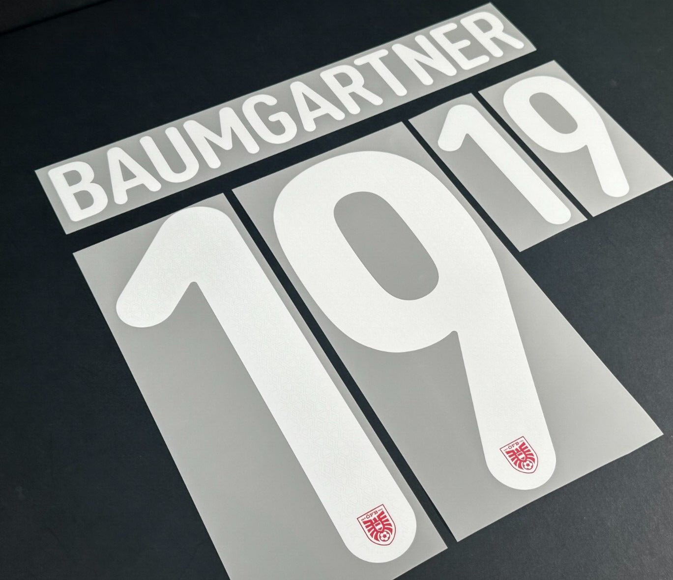 AUSTRIA 2024 2025 OFFICIAL BAUMGARTNER 19 HOME PLAYER SIZE NAMESET