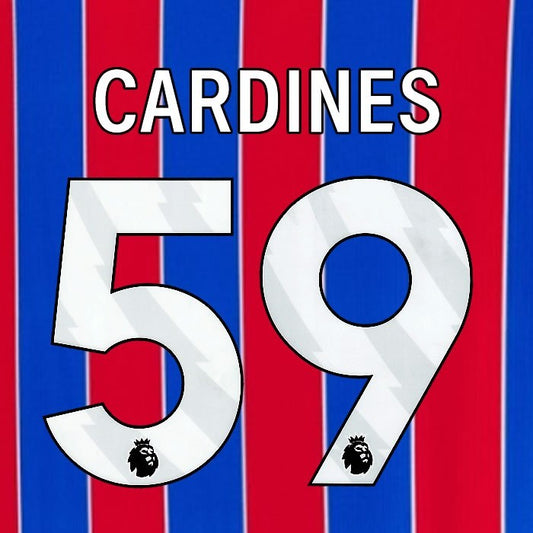 2025 2026 OFFICIAL CRYSTAL PALACE CARDINES 59 WHITE HOME PLAYER SIZE NAMESET