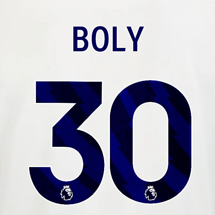 2025 2026 OFFICIAL NOTTINGHAM BOLY 30 BLUE AWAY PLAYER SIZE NAMESET