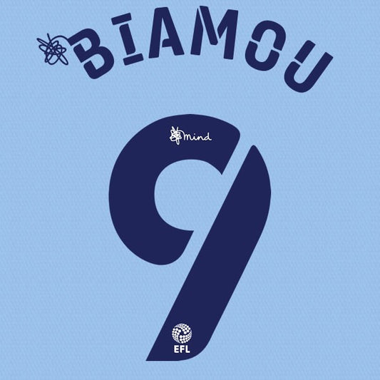 COVENTRY 2020 2021 OFFICIAL BIAMOU 9 HOME PLAYER SIZE NAME SET