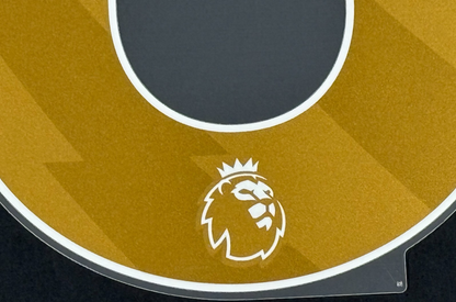 LIVERPOOL CHAMPIONS  20 OFFICIAL AVERY DENNISON GOLD PLAYER SIZE NAME SET